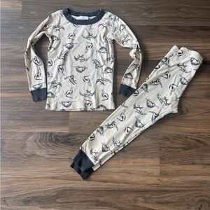 Hanna Andersson Boys Dinosaur Pajamas Organic 110 /5